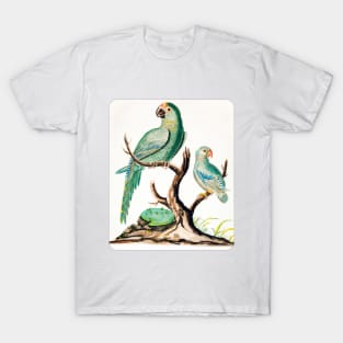 Two Parrots on a Barren Tree (1916) T-Shirt